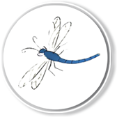 Logo Spreewaldhaus Libelle